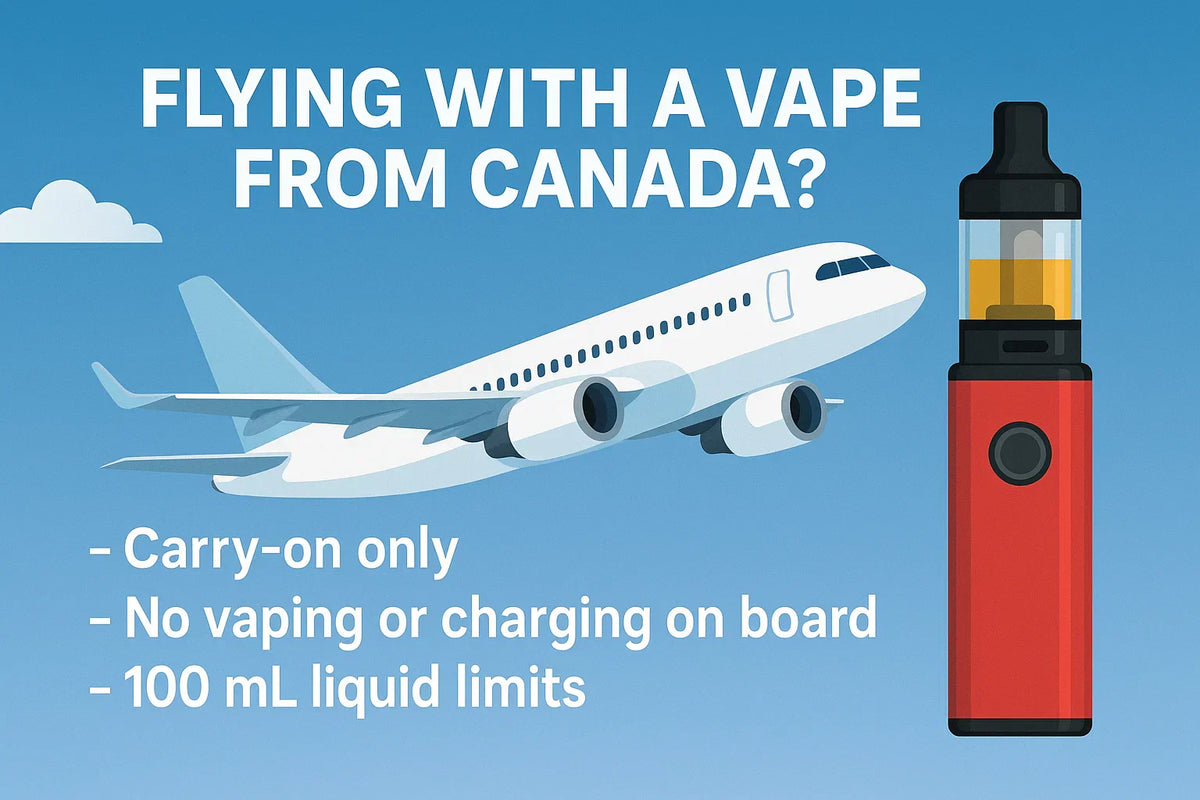 Can You Bring Disposable Vapes on an Airplane? (Canada Guide) Quality Vapes Can You Bring Disposable Vapes on an Airplane? (Canada Guide) Quality Vapes