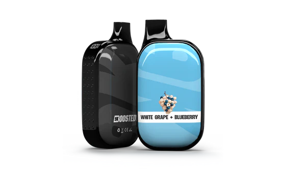 Raisin blanc + myrtille - Vape jetable boostée 9K
