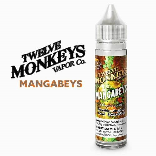 TWELVE MONKEYS MANGABEYS