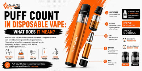 Puff Count in Disposable Vape