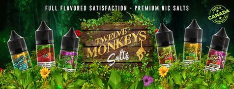 twelve monkeys salts vape juice