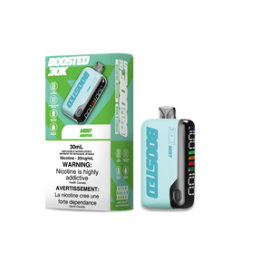 BOOSTED 30K Disposable Vape Mint flavour
